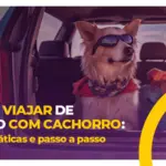 Viajando de carro com seu cachorro: um guia prático e passo a passo.